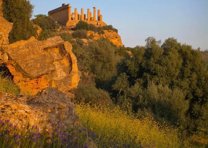 Mediterranea Daire *