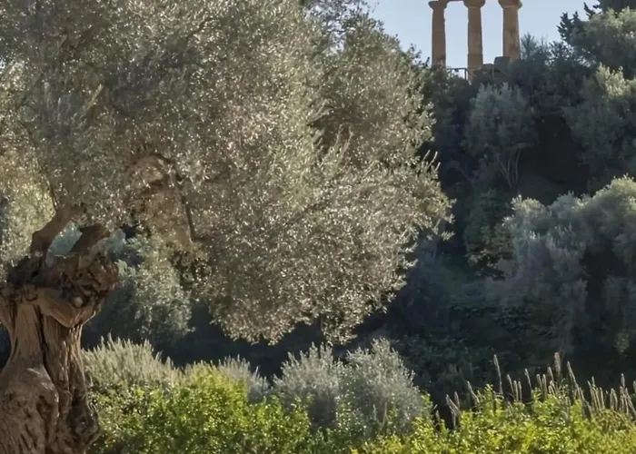 Apartment Mediterranea Agrigent