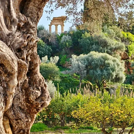Mediterranea *